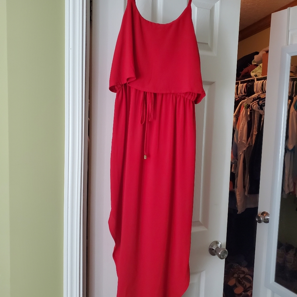Nerlerpolian dress